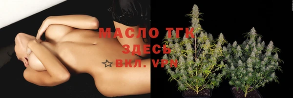 амф Аркадак