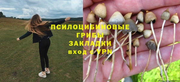 ПСИЛОЦИБИНОВЫЕ ГРИБЫ Армянск